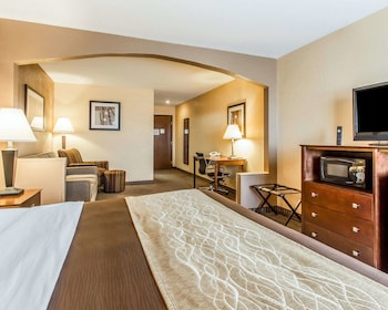 Suite, 1 King Bed with Sofa bed, Non Smoking