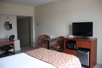 Room, 1 Double Bed, Non Smoking