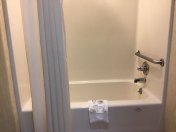 Suite, 1 King Bed, Non Smoking (Deluxe)