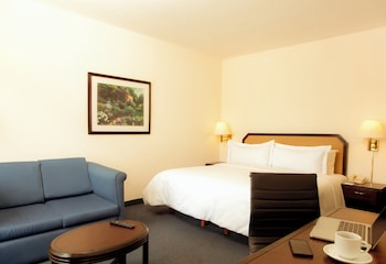 Superior Room, 1 king