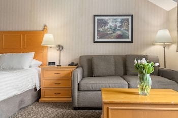 Premium Studio Suite, 1 Queen Bed with Sofa bed, Balcony, Mountain View - No Pets Allowed