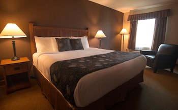 Standard Room, 1 King Bed, Non Smoking