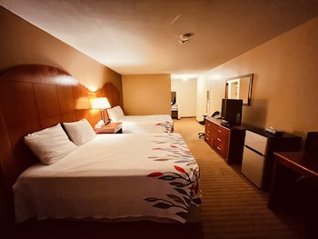 Double Room, 2 Queen Beds