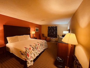 Standard Single Room, 1 Queen Bed