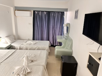 Basic Triple Room