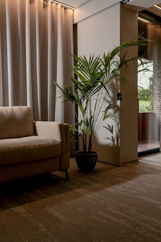 Junior Studio Suite