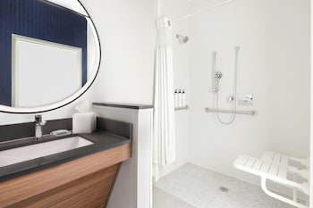 Room, 1 Queen Bed, Roll-in Shower