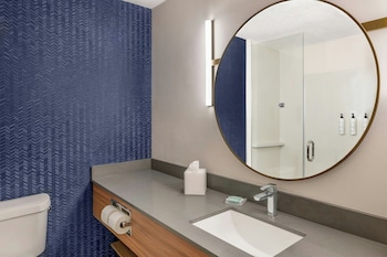 Room, 1 Queen Bed, Roll-in Shower