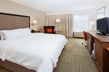 Room, Accessible, Non Smoking (Roll-In Shower)