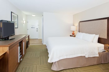 Room, Accessible, Non Smoking (Roll-In Shower)