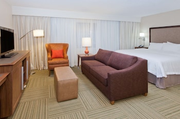 Room, 1 King Bed, Refrigerator