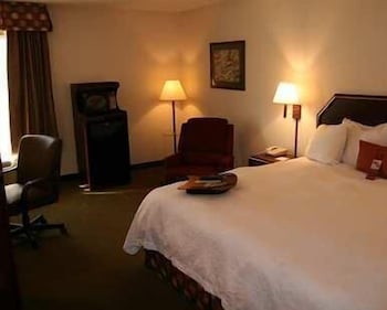 Room, Accessible, Non Smoking (Roll-In Shower)