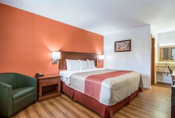 Room, 1 King Bed
