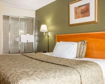 Standard Room, 1 King Bed, Smoking