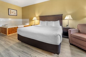 Room, 1 King Bed, Non Smoking, Jetted Tub