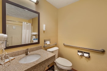 Room, 1 King Bed, Accessible, Non Smoking