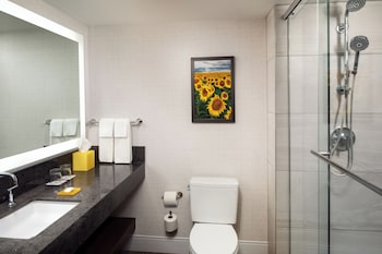 1 King Bed (Accessible Shower)