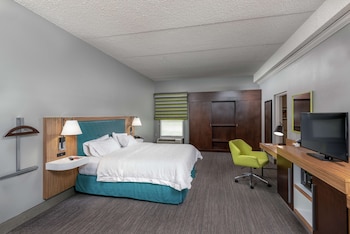 Room, 1 King Bed, Accessible (Roll-In Shower)