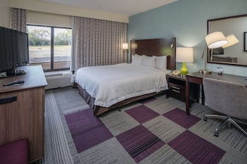 Room, 1 King Bed, Accessible (Roll-In Shower)