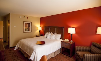 Room, 1 King Bed, Accessible, Non Smoking