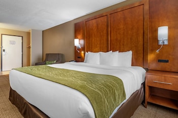 Room, 1 King Bed, Accessible, Non Smoking