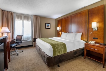 Suite, 1 King Bed with Sofa bed, Non Smoking