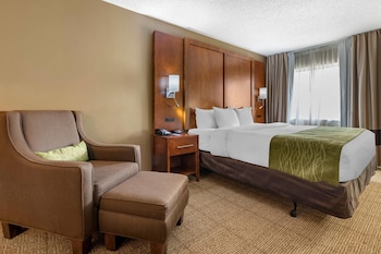 Room, 1 King Bed, Accessible, Non Smoking