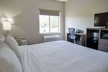 Room, 1 King Bed, Accessible, Non Smoking (Roll-In Shower)