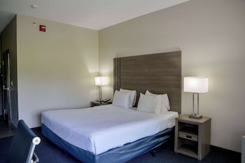 Deluxe Room, 1 King Bed, Accessible, Non Smoking (Roll-In Shower)
