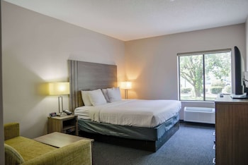 Room, 1 King Bed with Sofa bed, Non Smoking