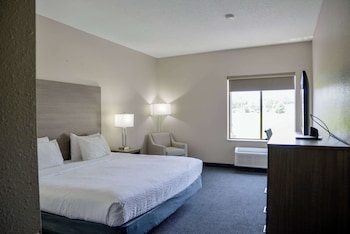 Deluxe Room, 1 King Bed, Accessible, Non Smoking (Roll-In Shower)