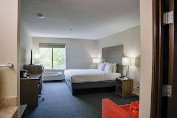 Studio Suite, 1 King Bed, Non Smoking