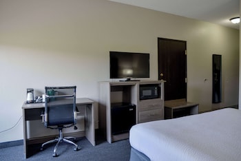 Deluxe Room, 1 King Bed, Accessible, Non Smoking (Roll-In Shower)
