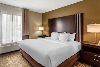 Room, 1 King Bed