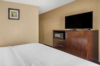 Room, 1 King Bed
