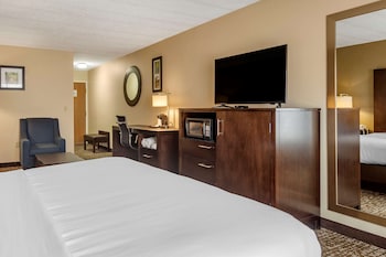 Room, 1 King Bed
