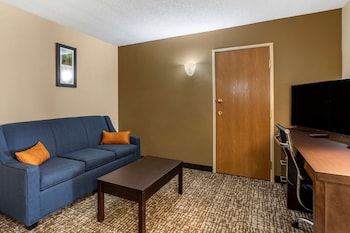 Room, 1 King Bed