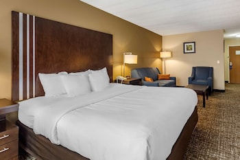 Room, 1 King Bed