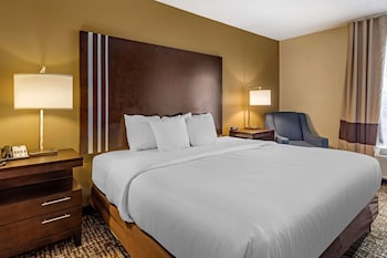 Room, 1 King Bed