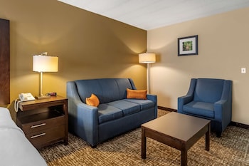 Room, 1 King Bed