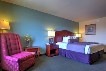 Standard Single Room, 1 King Bed, Non Smoking