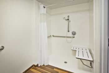 Room, 1 King Bed, Accessible, Non Smoking (Roll-in Shower)