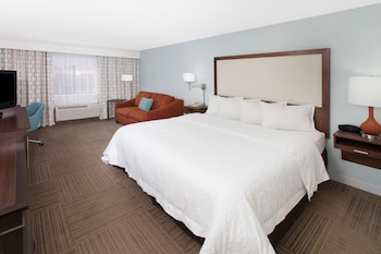 Room, 1 King Bed with Sofa bed, Non Smoking