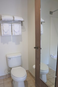 Standard Suite, Multiple Beds (Studio Room (No Pets))