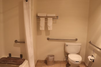 Room, 1 Queen Bed, Accessible (Studio Accessible Room (No Pets))