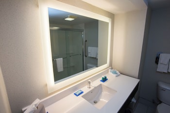 Suite, 1 King Bed with Sofa bed
