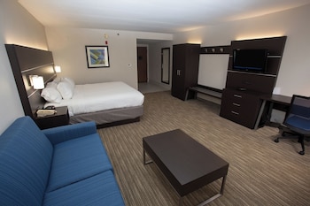 Suite, 1 King Bed with Sofa bed