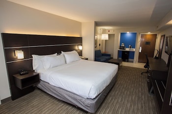 Suite, 1 King Bed with Sofa bed