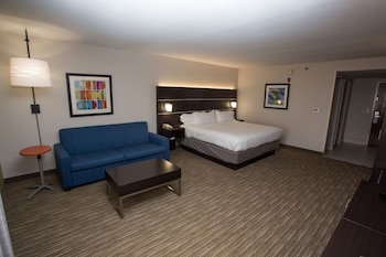 Suite, 1 King Bed with Sofa bed
