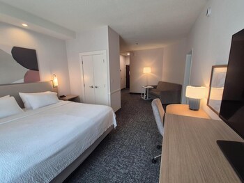 Room, 1 King Bed with Sofa bed, Accessible (Mobility & Hearing, Roll-In Shower)